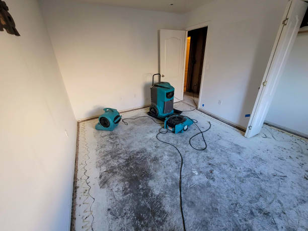Best Mold removal after water damage  in Galveston, IN