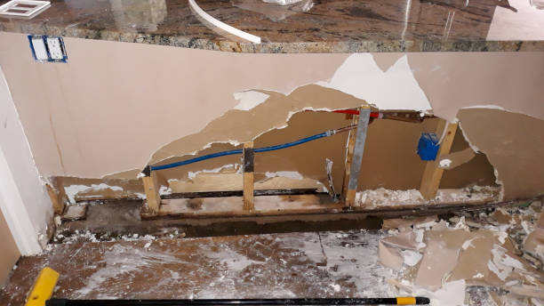 Best Professional water damage repair  in Galveston, IN