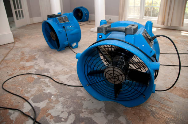 Best 24/7 water damage repair  in Galveston, IN