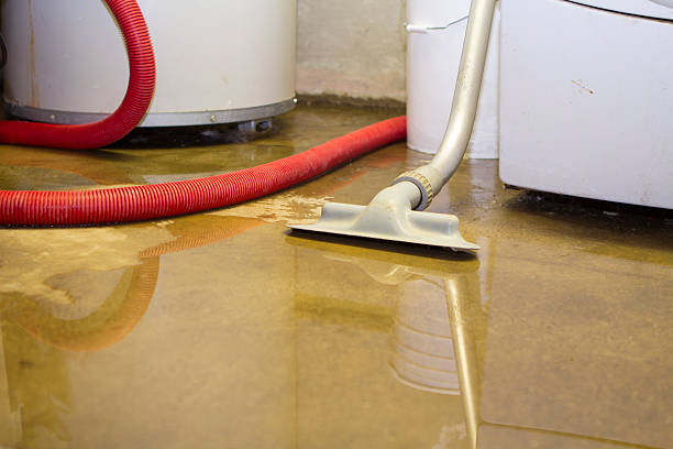 Best Sewage cleanup and water damage restoration  in Galveston, IN